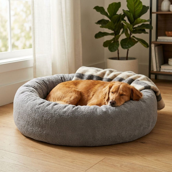 Pet Bedding