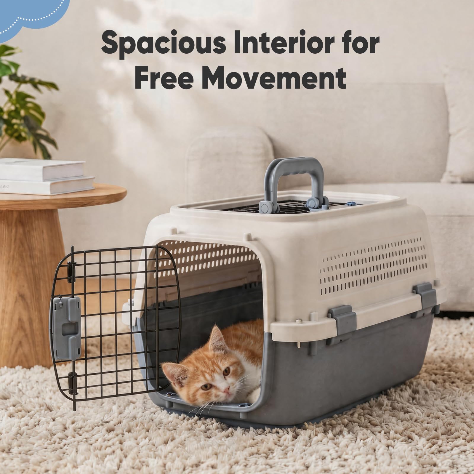 Airline-Approved Pet Carrier | Front & Top Load Travel Crate