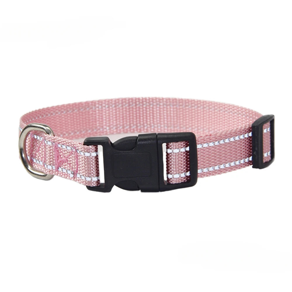 Nylon Dog Collar & Leash Set | Adjustable Walking Kit
