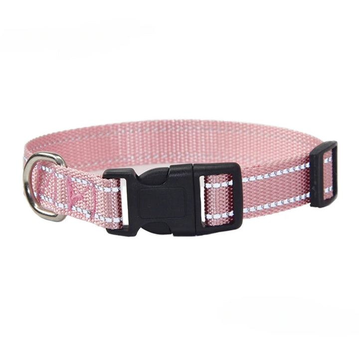 Nylon Dog Collar & Leash Set | Adjustable Walking Kit