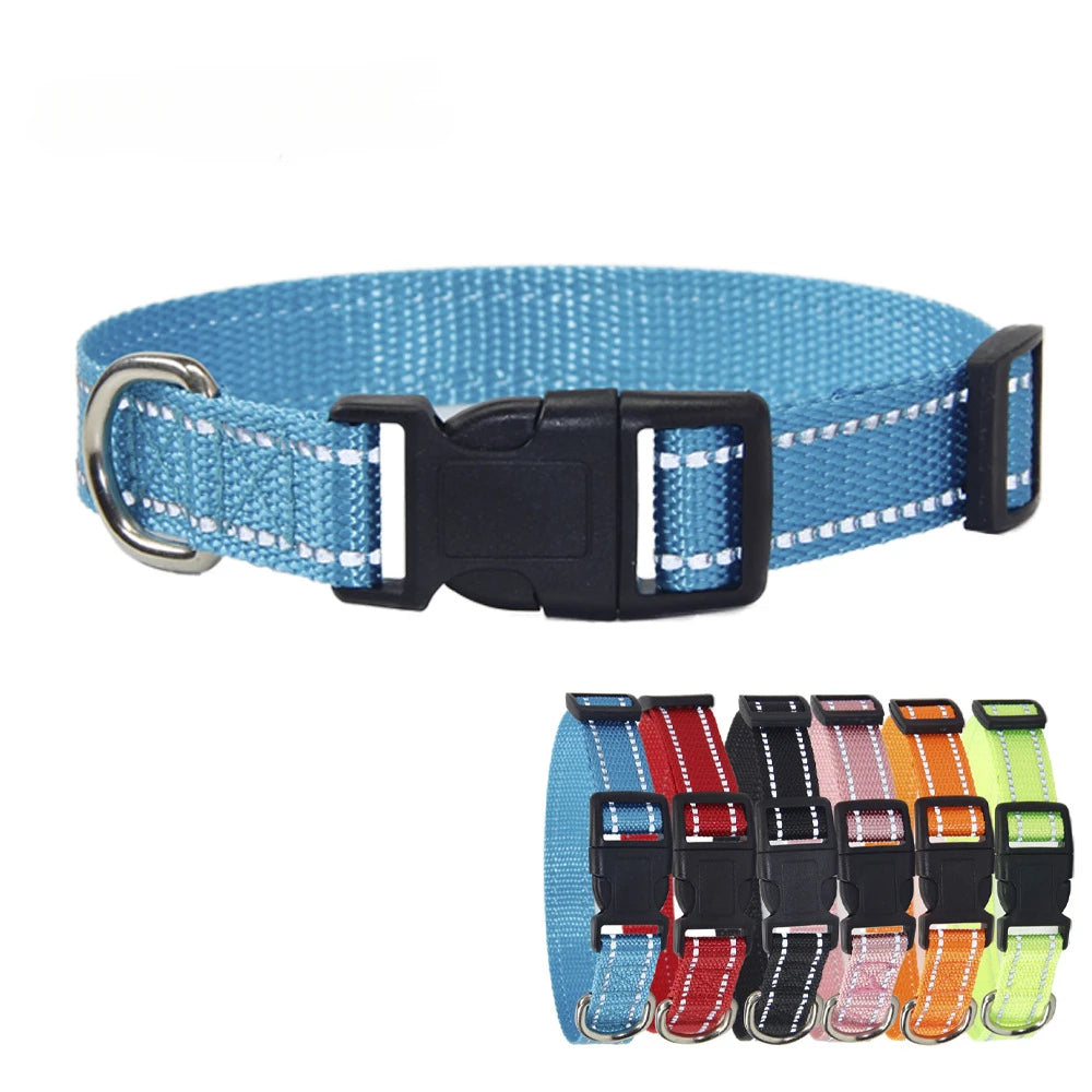 Nylon Dog Collar & Leash Set | Adjustable Walking Kit