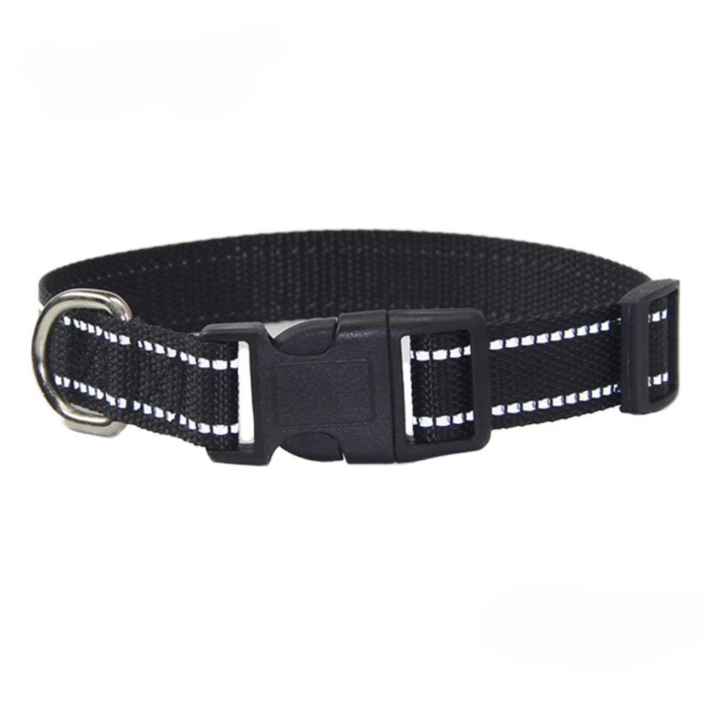 Nylon Dog Collar & Leash Set | Adjustable Walking Kit