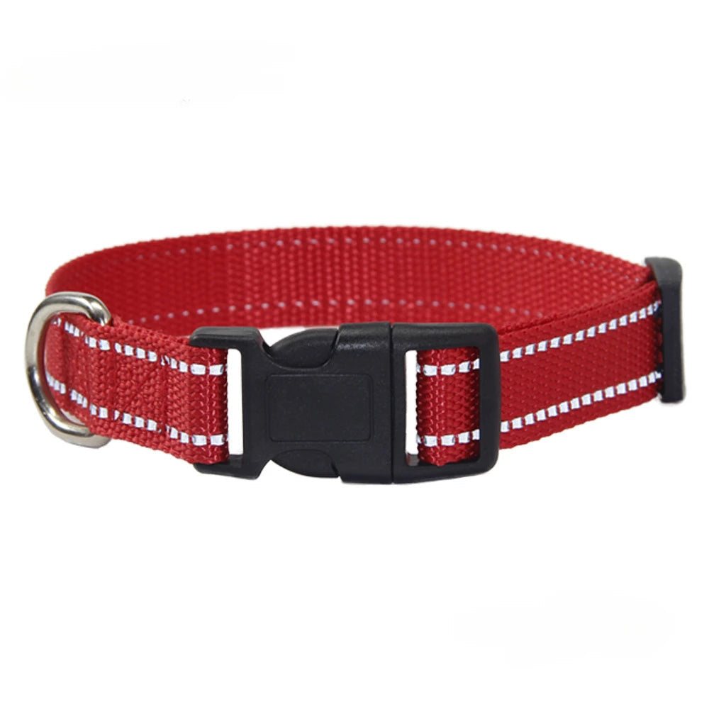 Nylon Dog Collar & Leash Set | Adjustable Walking Kit