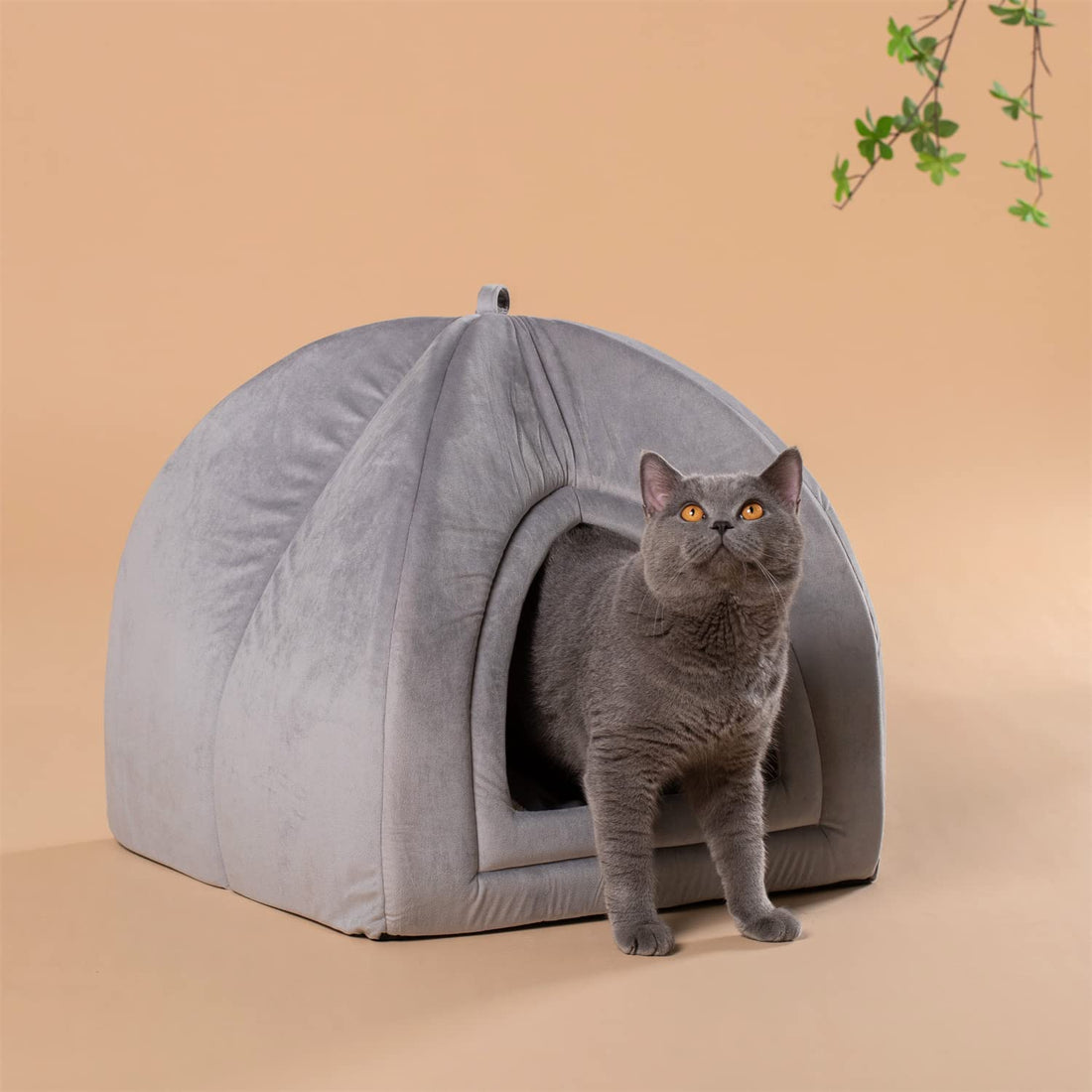 Kasentex Soft Cat Bed - Cozy Pet Bed Cushion