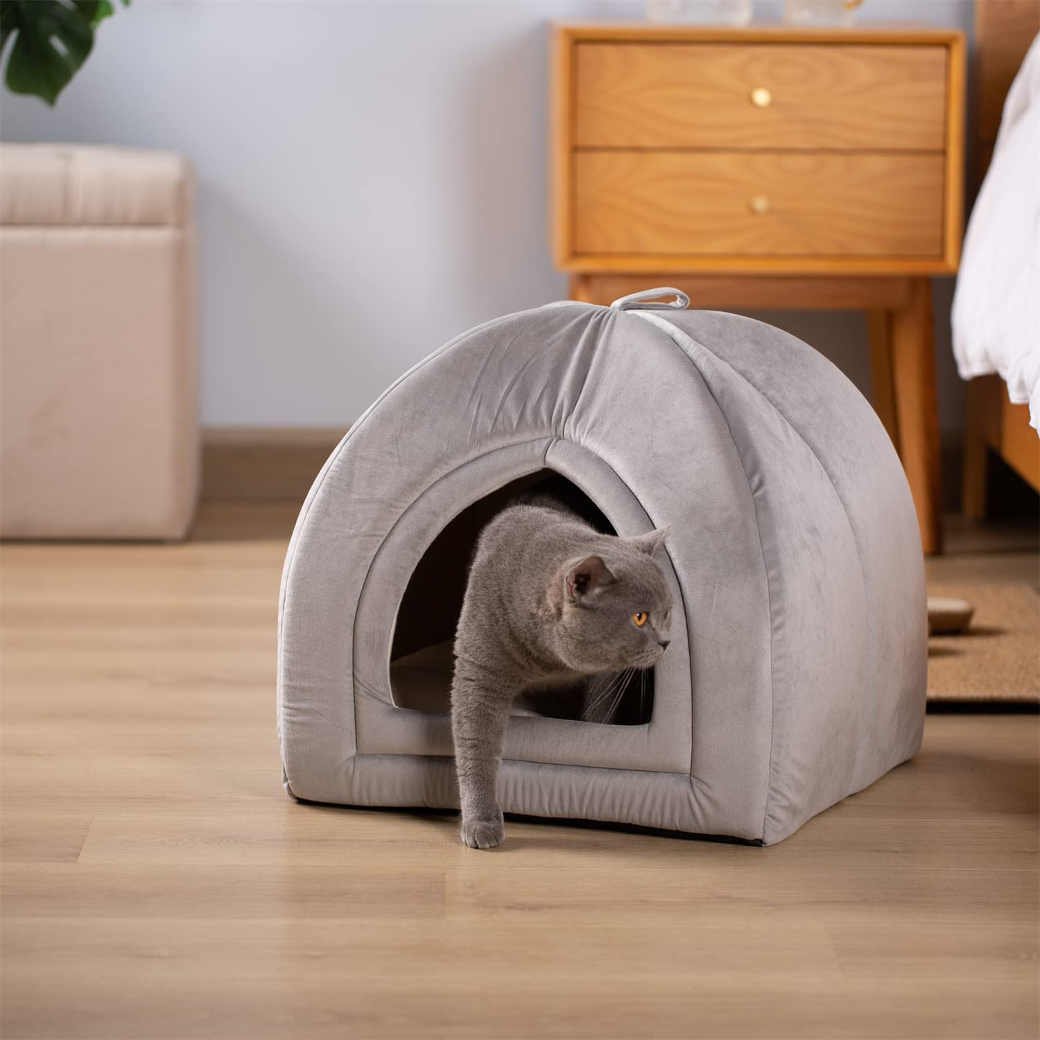 Kasentex Soft Cat Bed - Cozy Pet Bed Cushion