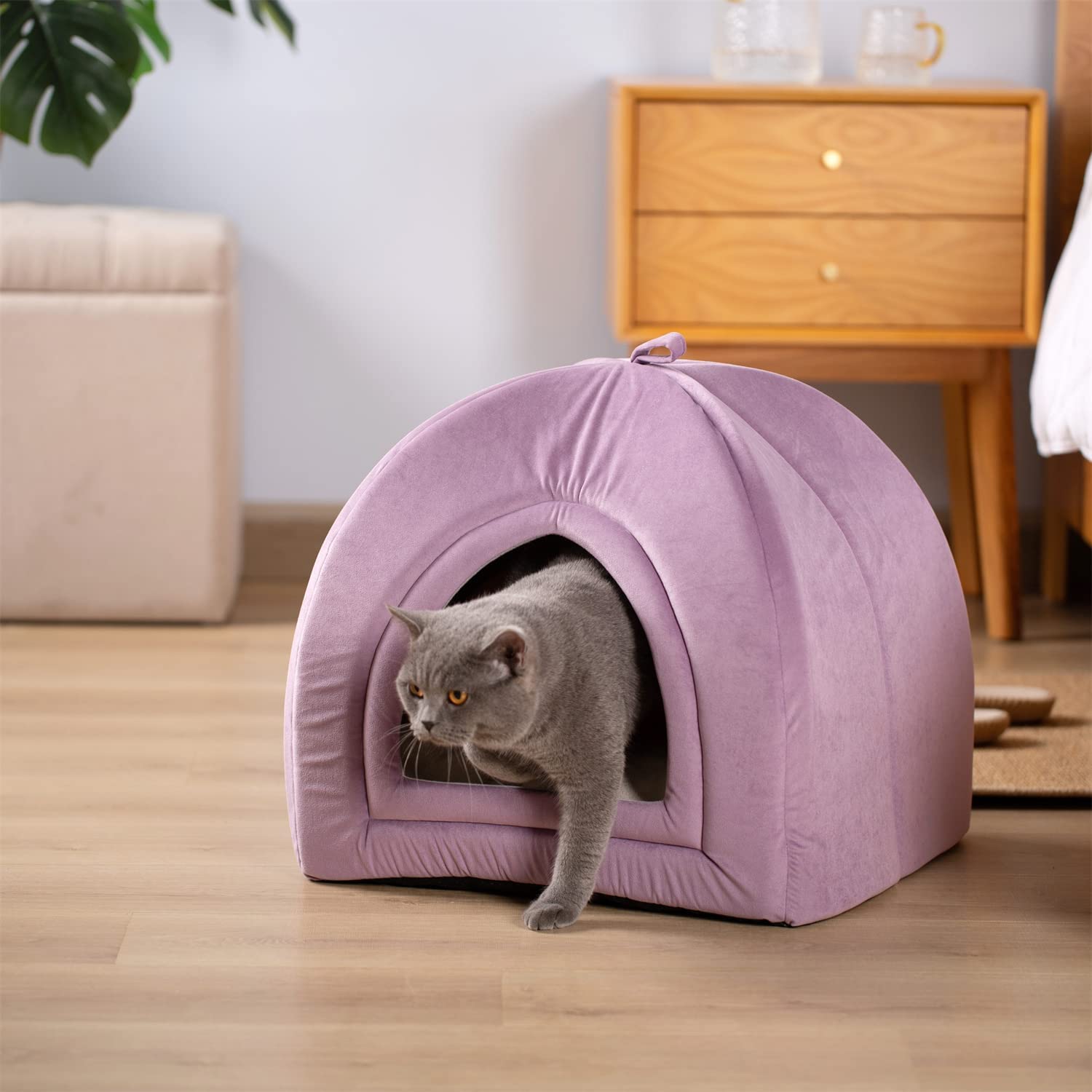 Kasentex Soft Cat Bed - Cozy Pet Bed Cushion
