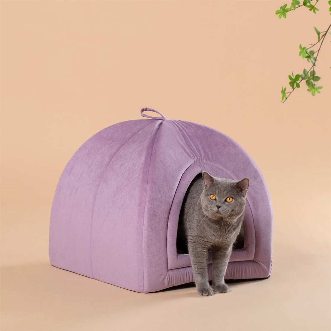 Kasentex Soft Cat Bed - Cozy Pet Bed Cushion
