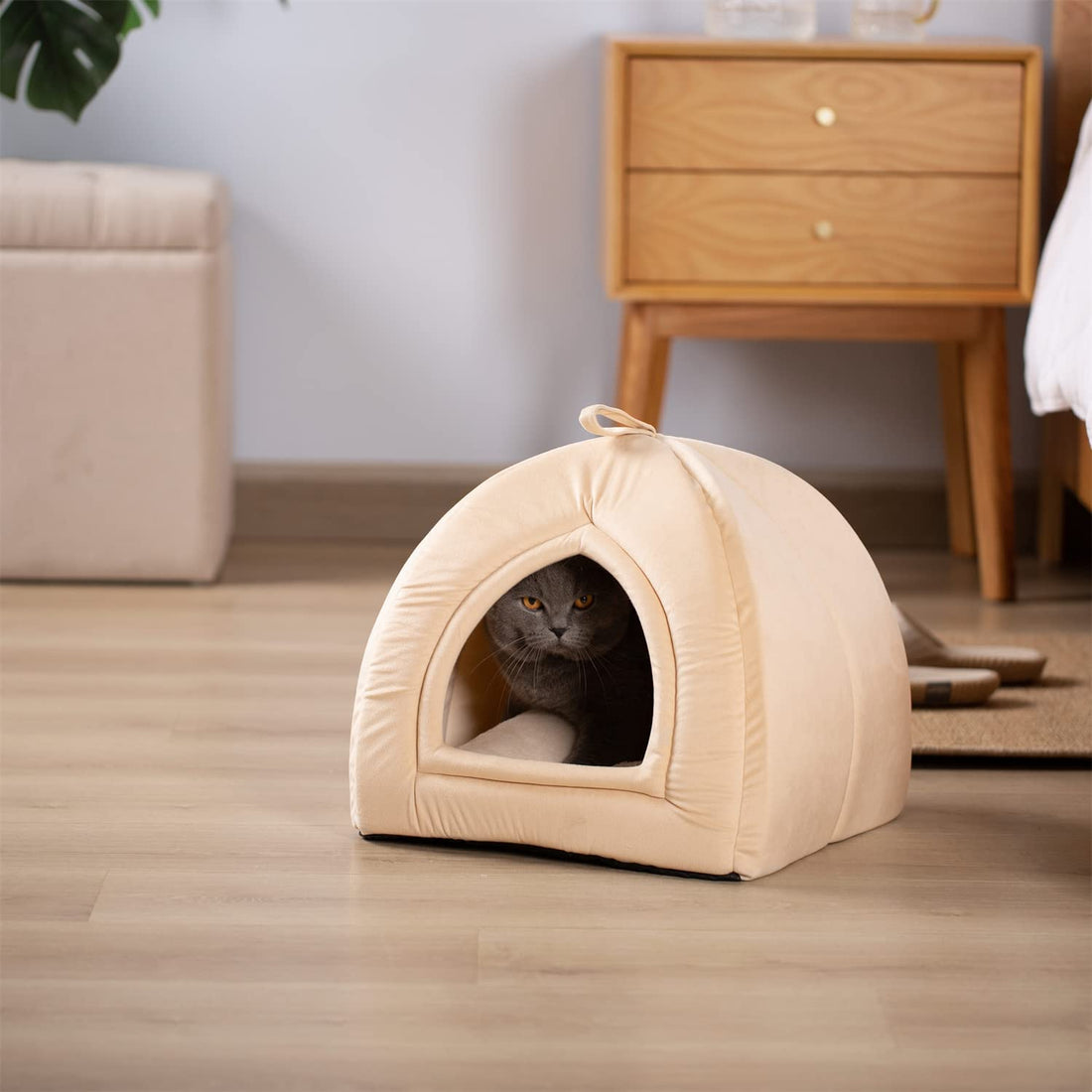 Kasentex Soft Cat Bed - Cozy Pet Bed Cushion