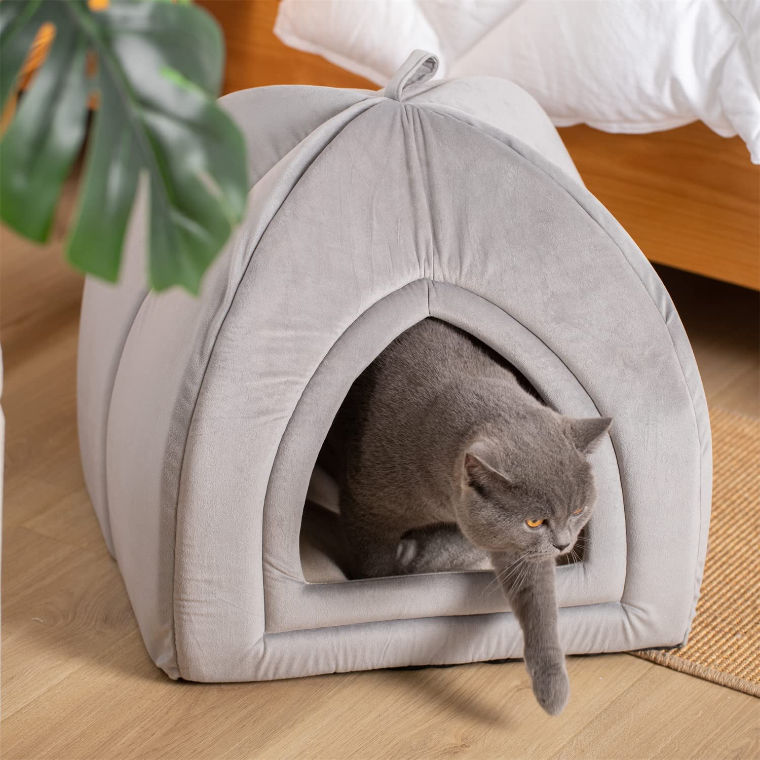 Kasentex Soft Cat Bed - Cozy Pet Bed Cushion