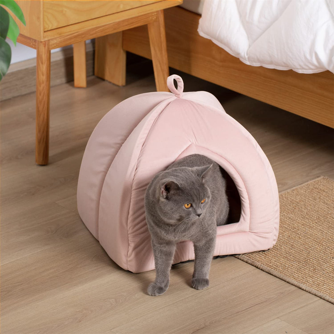 Kasentex Soft Cat Bed - Cozy Pet Bed Cushion