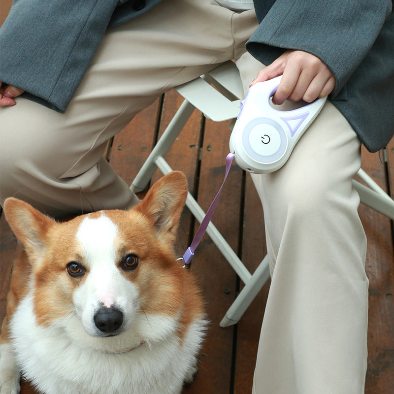 Retractable Dog Leash & Collar Set | Spotlight Pet Lead
