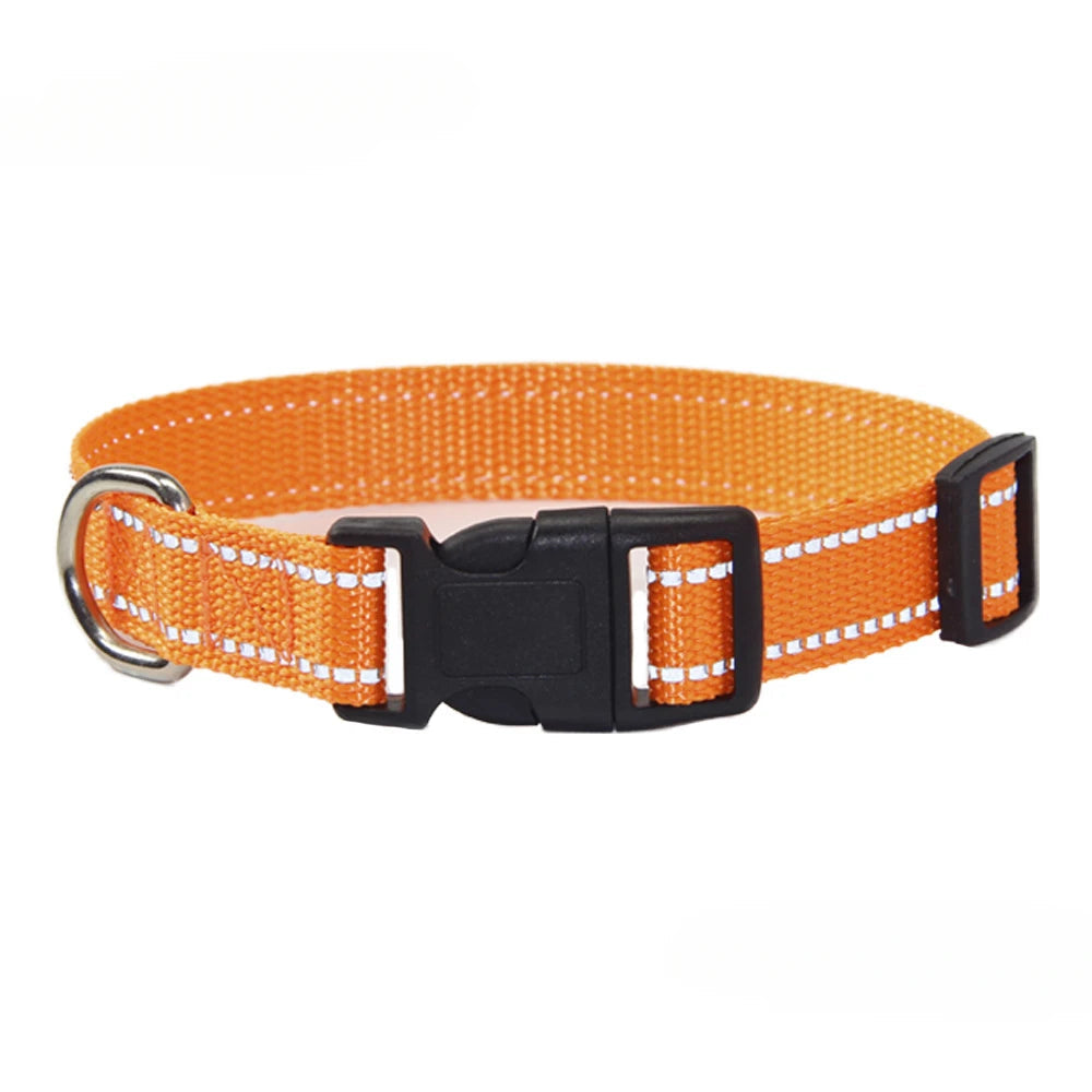 Nylon Dog Collar & Leash Set | Adjustable Walking Kit