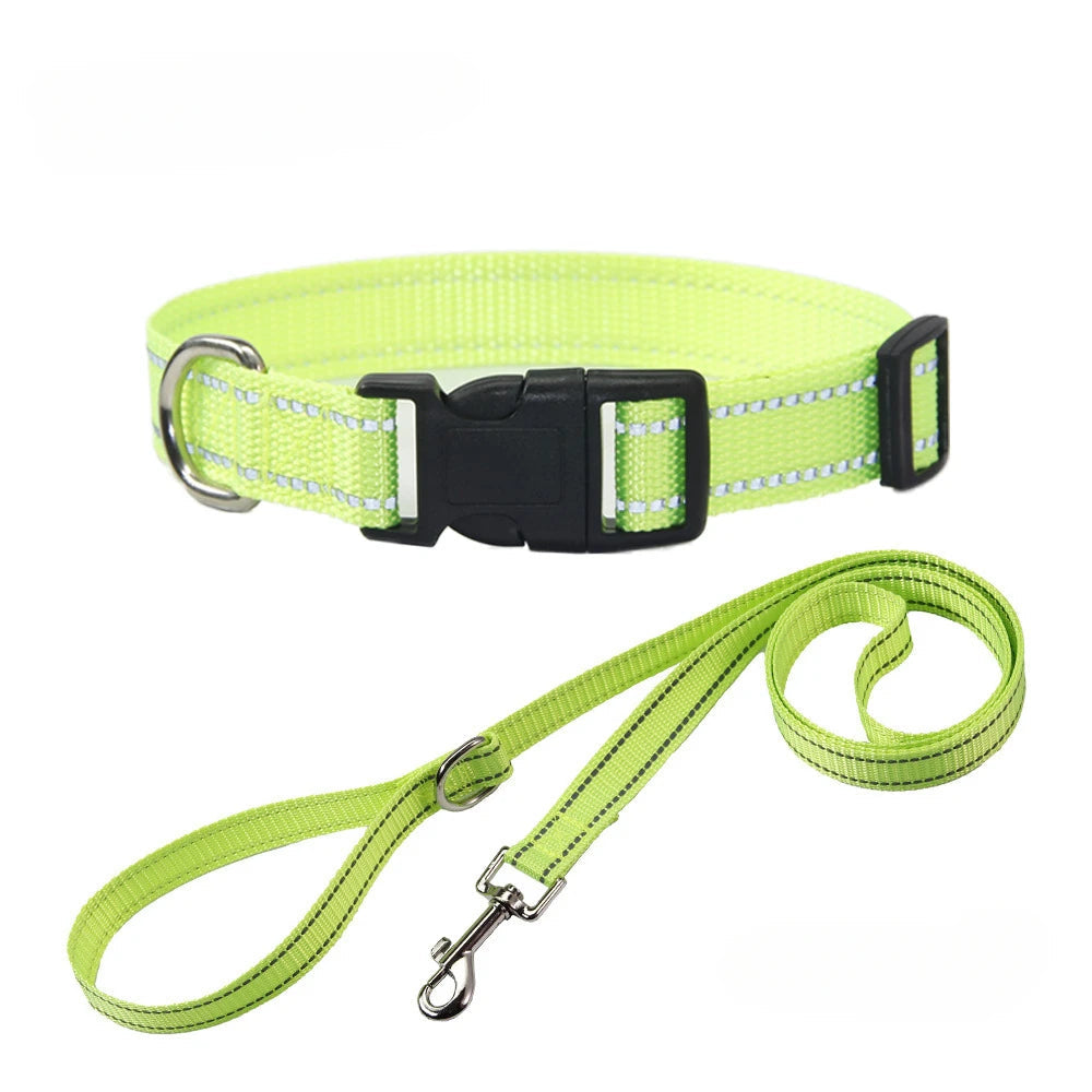 Nylon Dog Collar & Leash Set | Adjustable Walking Kit