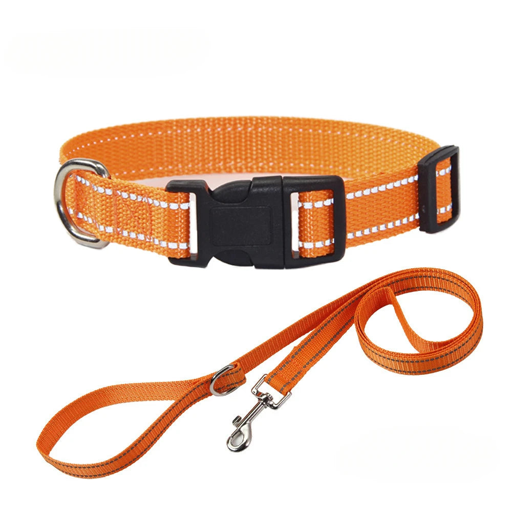 Nylon Dog Collar & Leash Set | Adjustable Walking Kit