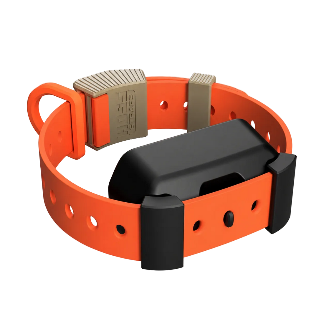 Training Collar Setup