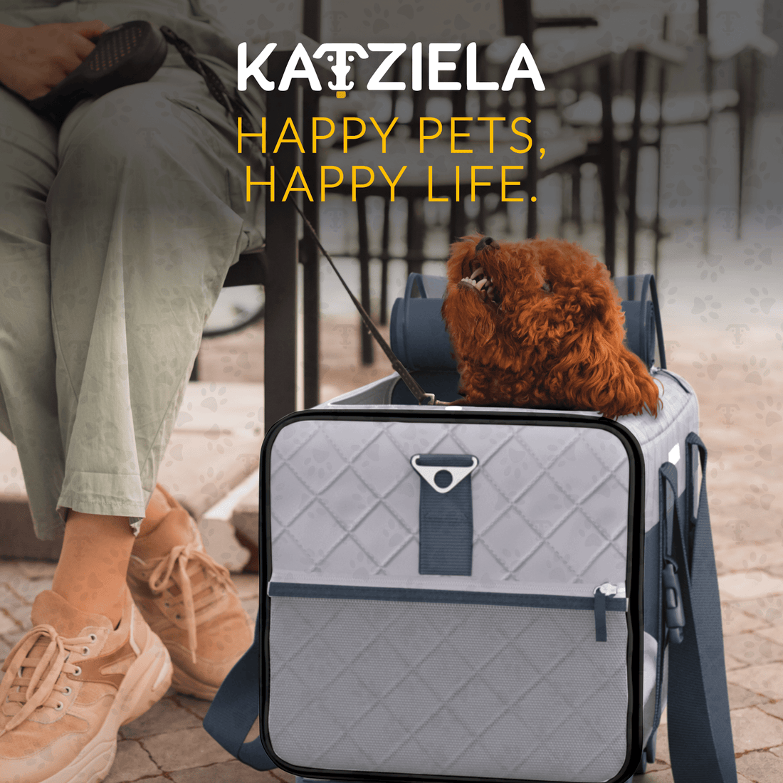 Quilted Pet Carrier with Wheels | Rolling Travel Carrier