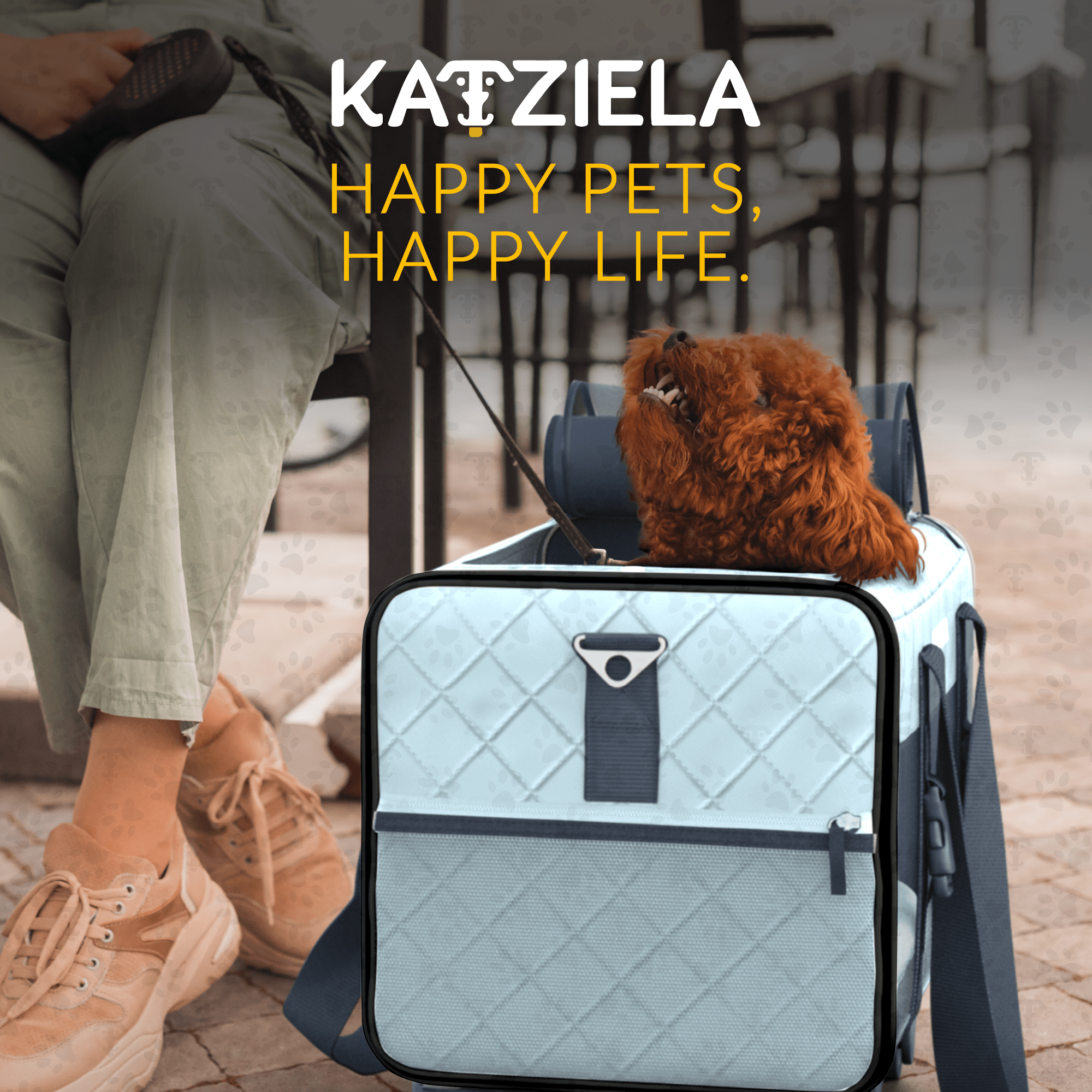 Quilted Pet Carrier with Wheels | Rolling Travel Carrier