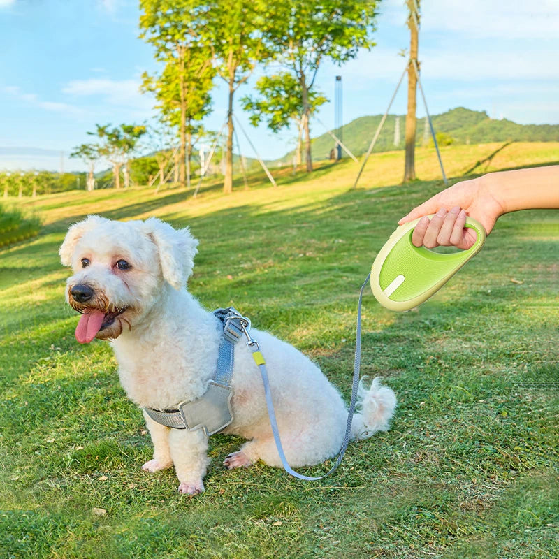 3M Retractable Pet Leash | Durable Nylon Walking Lead