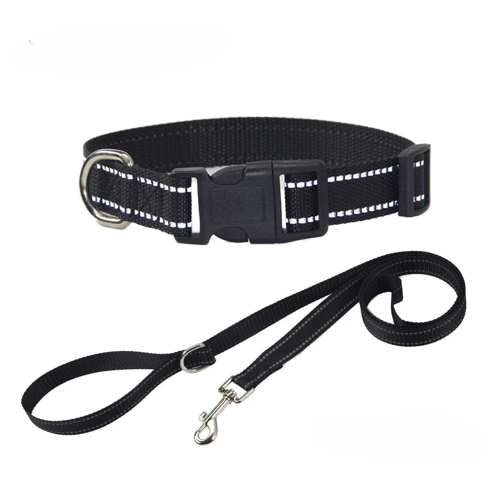 Nylon Dog Collar & Leash Set | Adjustable Walking Kit