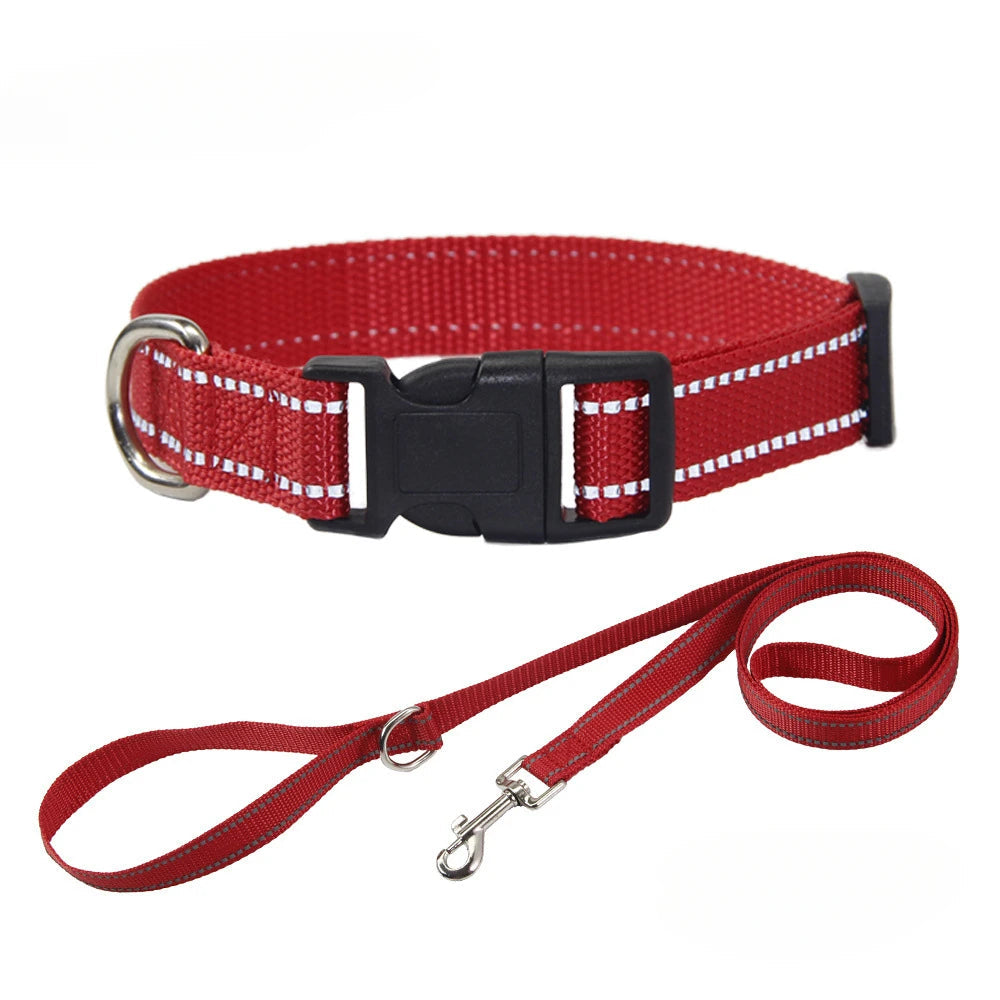 Nylon Dog Collar & Leash Set | Adjustable Walking Kit