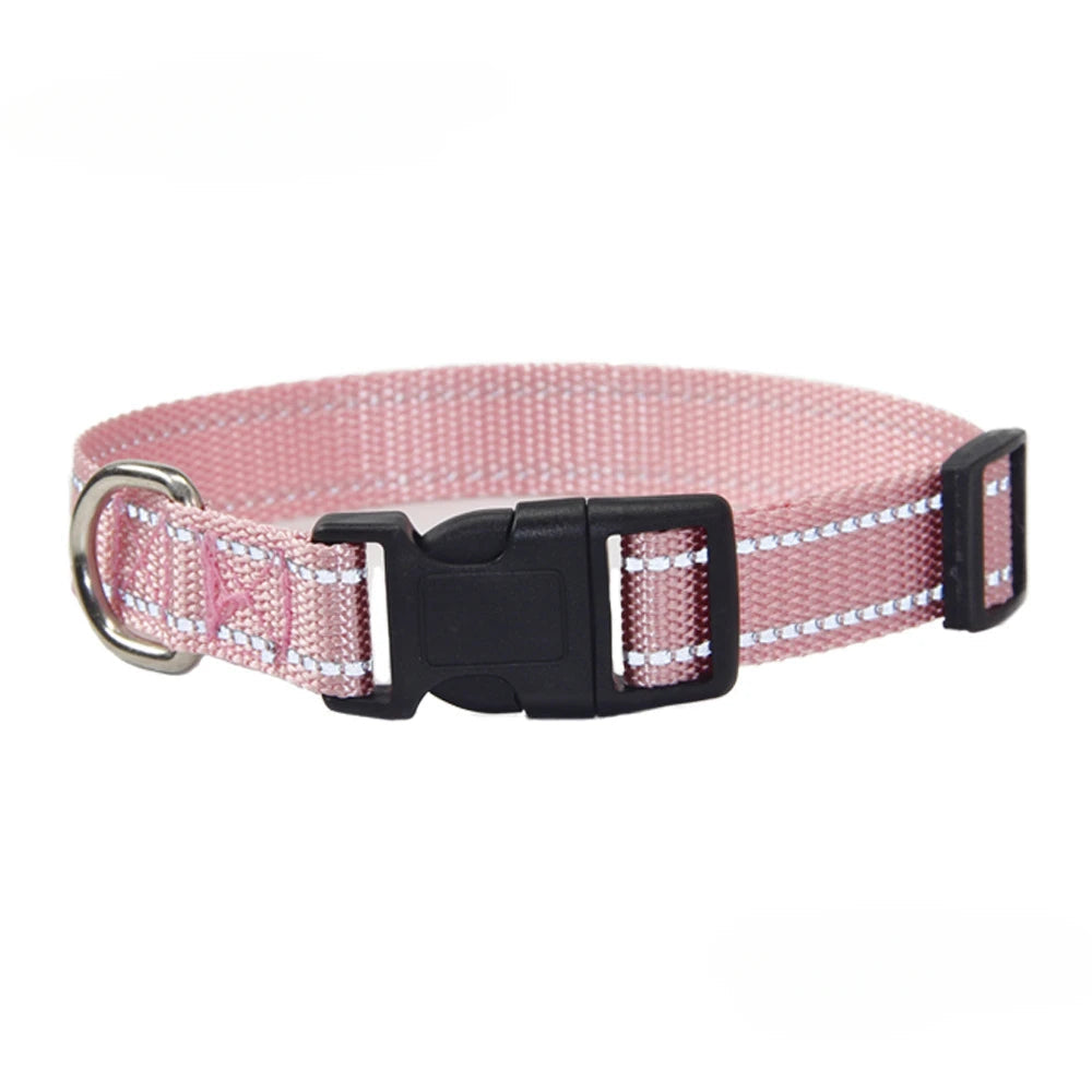 Nylon Dog Collar & Leash Set | Adjustable Walking Kit