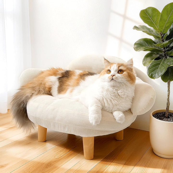 Velvet Pet Sofa Bed | Furniture Style Cat & Small Dog Couch