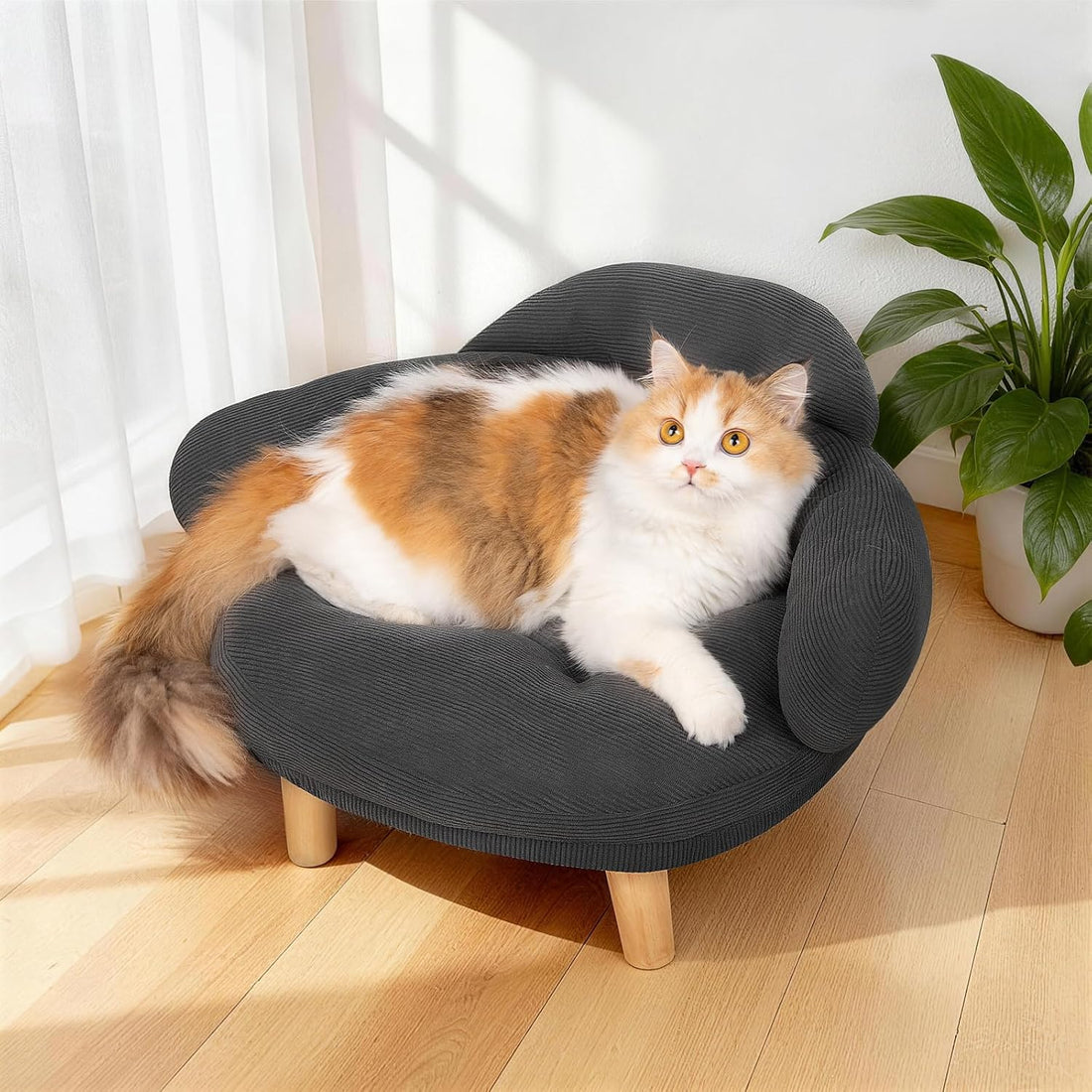 Velvet Pet Sofa Bed | Furniture Style Cat & Small Dog Couch