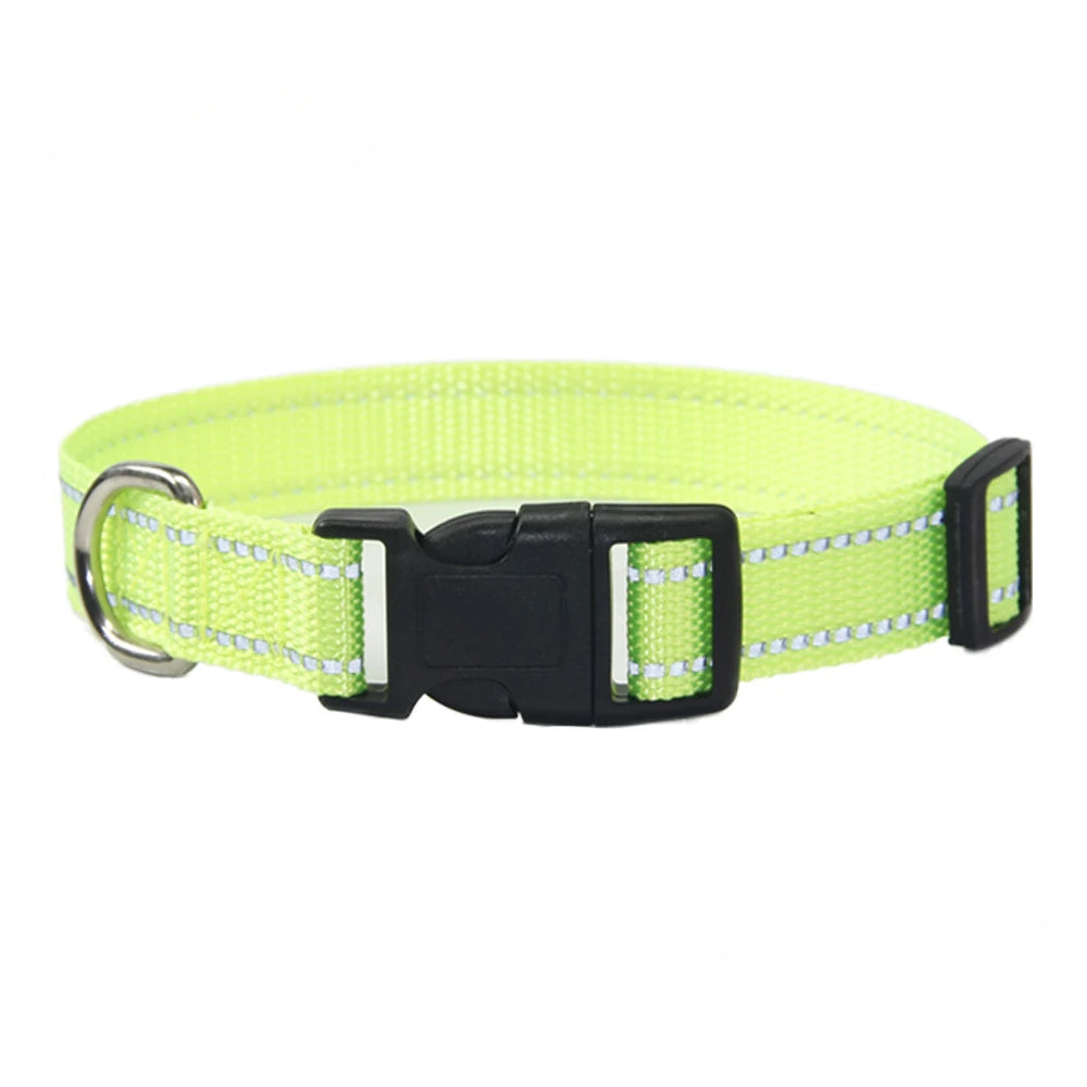 Nylon Dog Collar & Leash Set | Adjustable Walking Kit