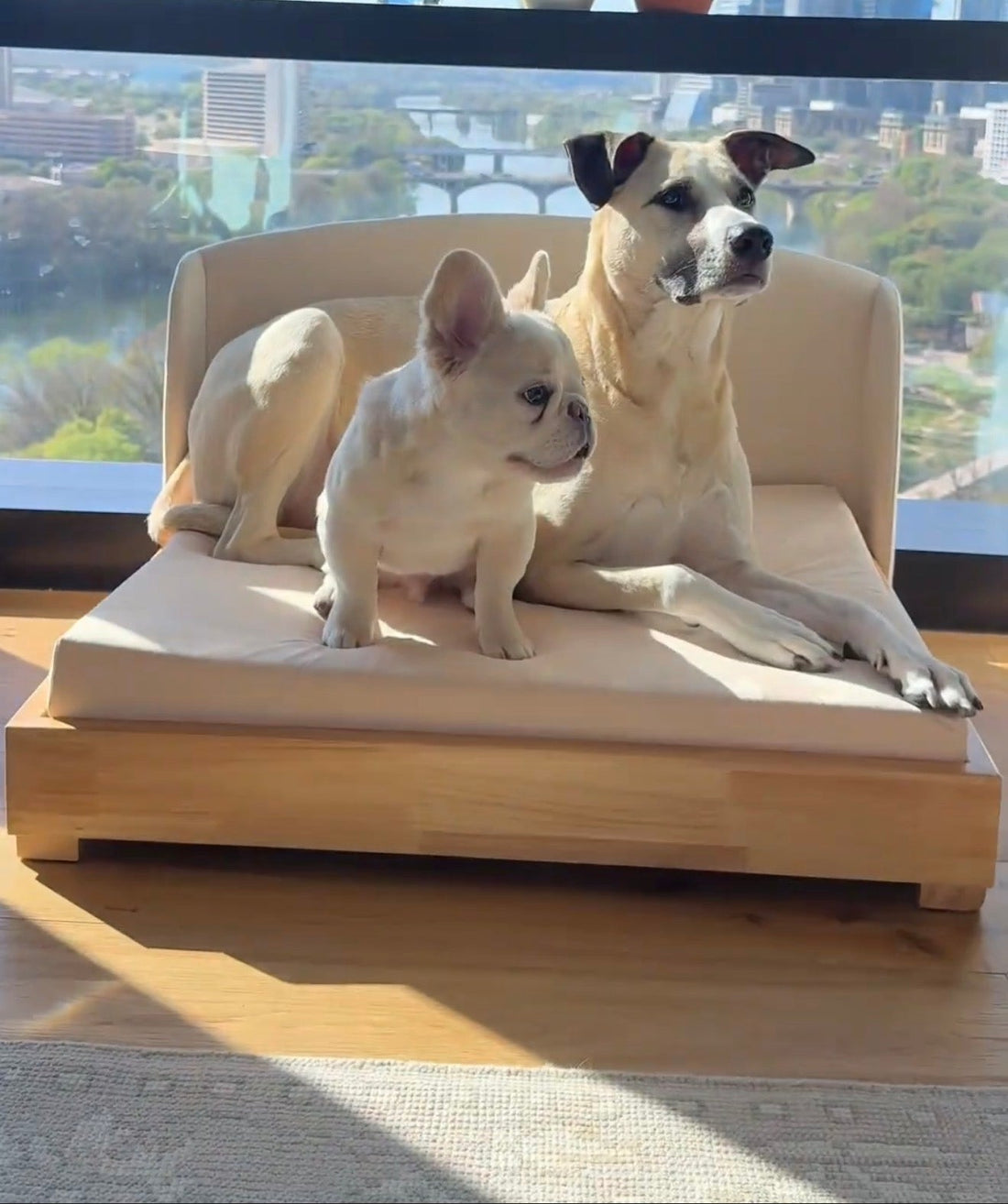 The Haven — Luxury Handcrafted Dog Bed | Solid Wood, Orthopedic, Waterproof lined