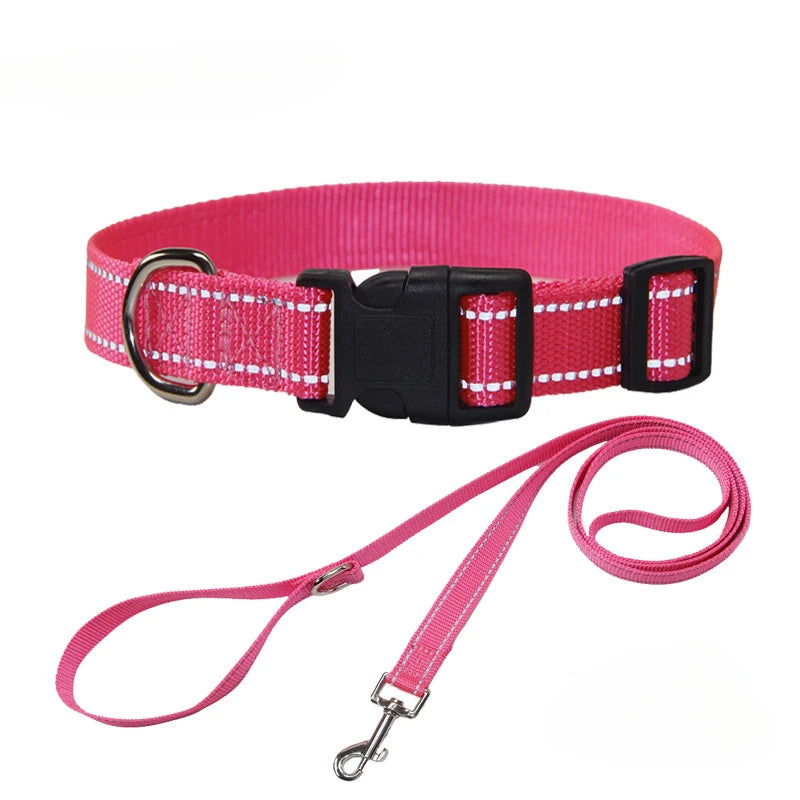 Nylon Dog Collar & Leash Set | Adjustable Walking Kit