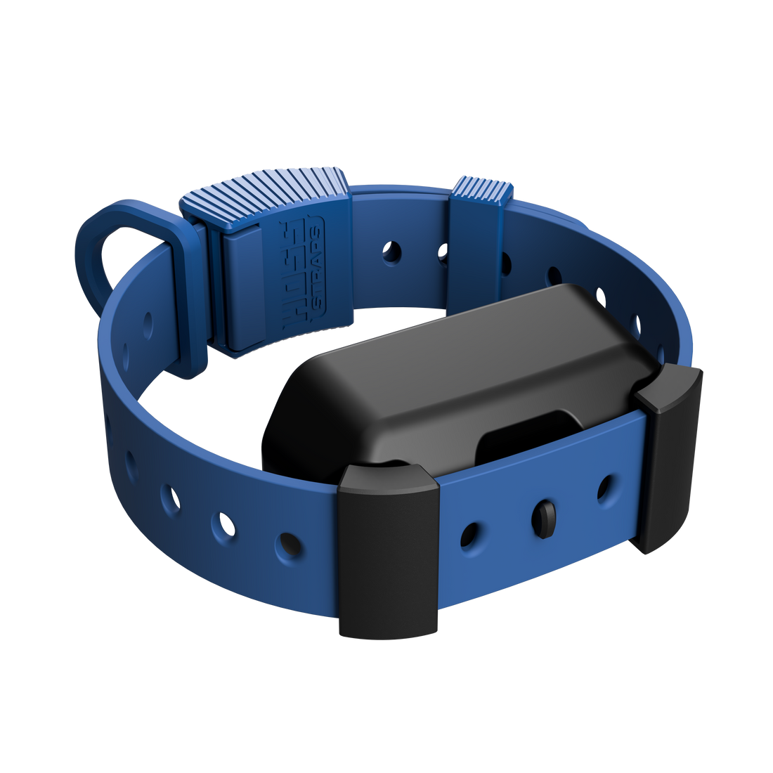 Training Collar Setup
