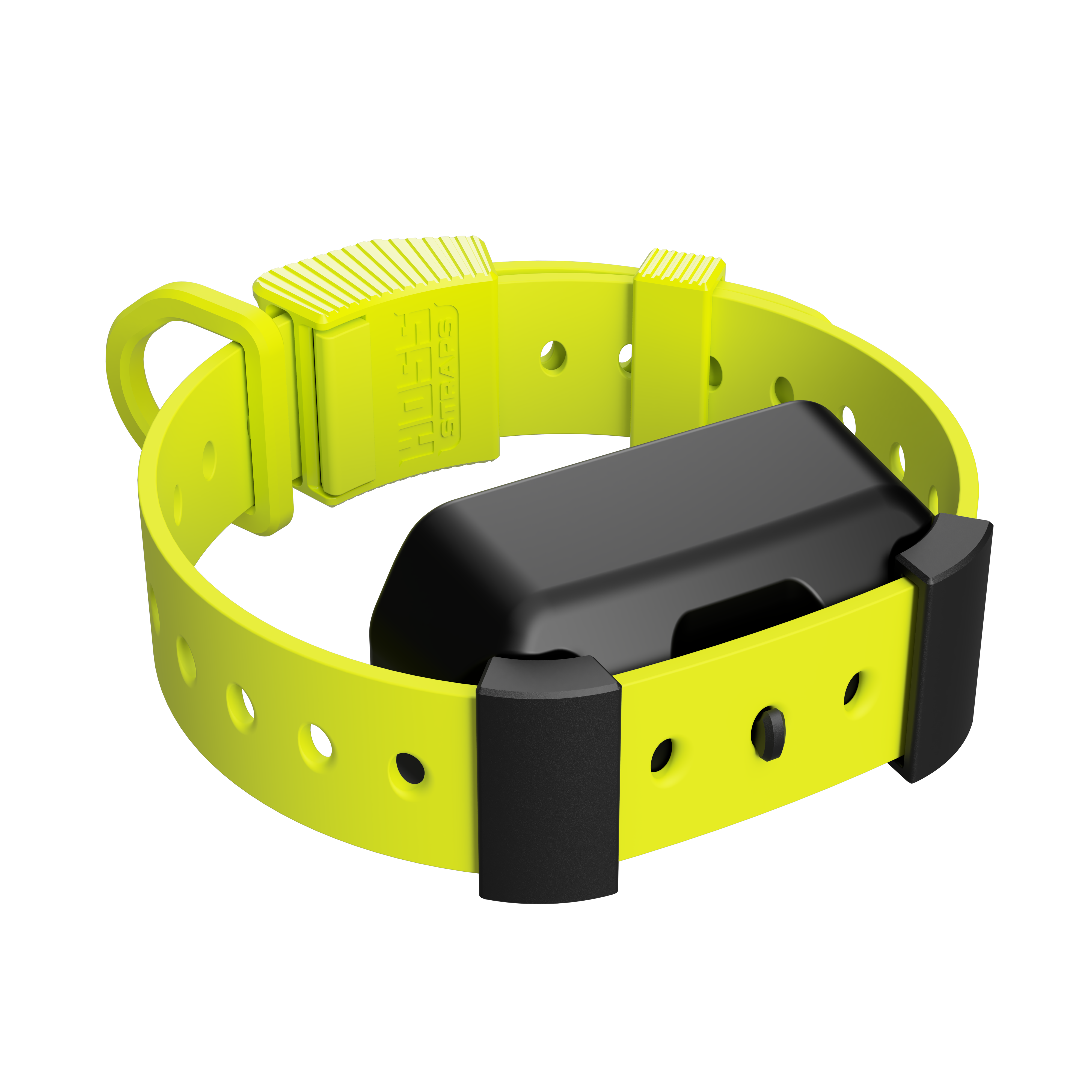 Training Collar Setup