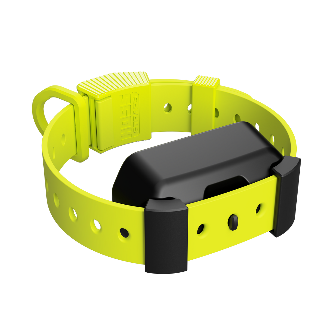 Training Collar Setup