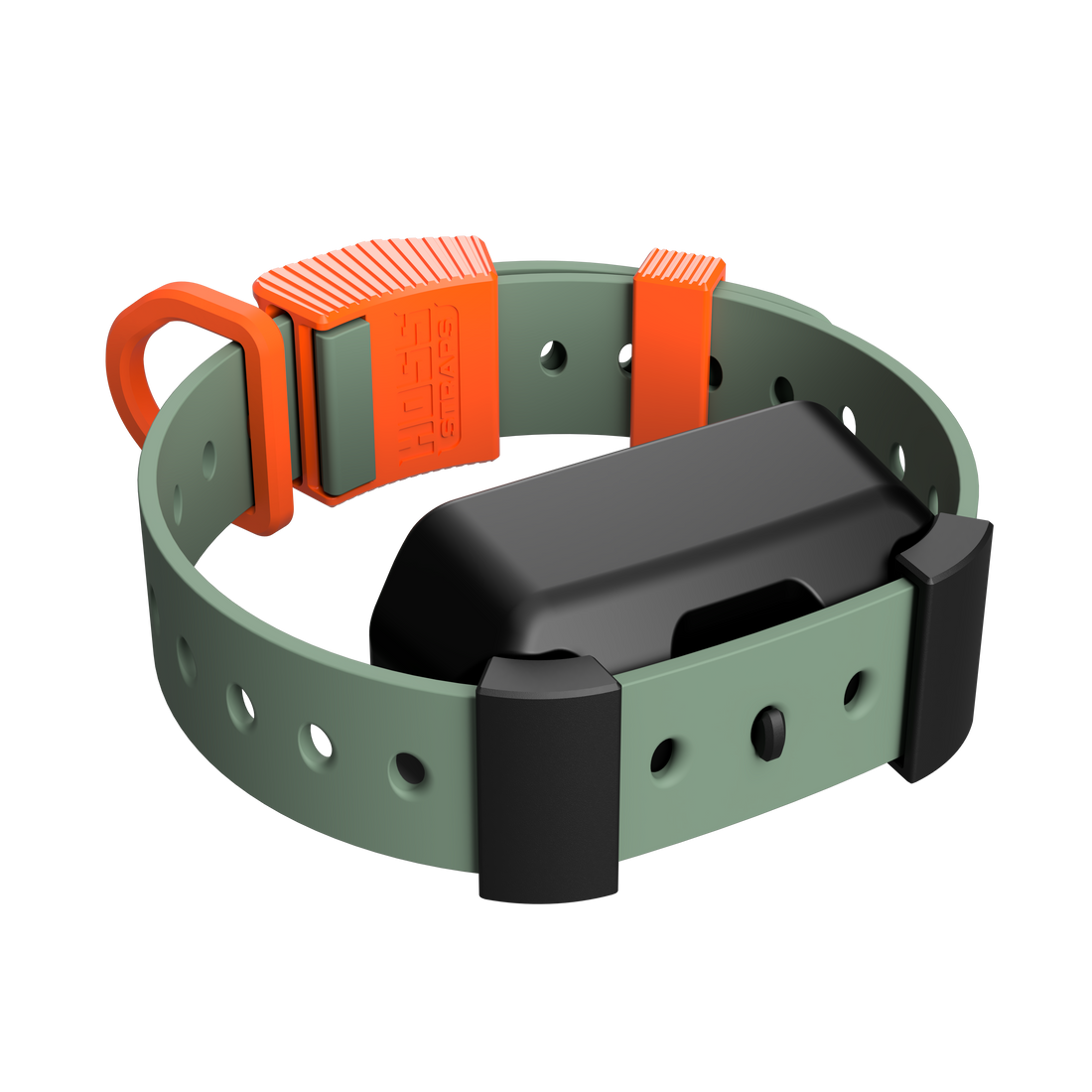 Training Collar Setup