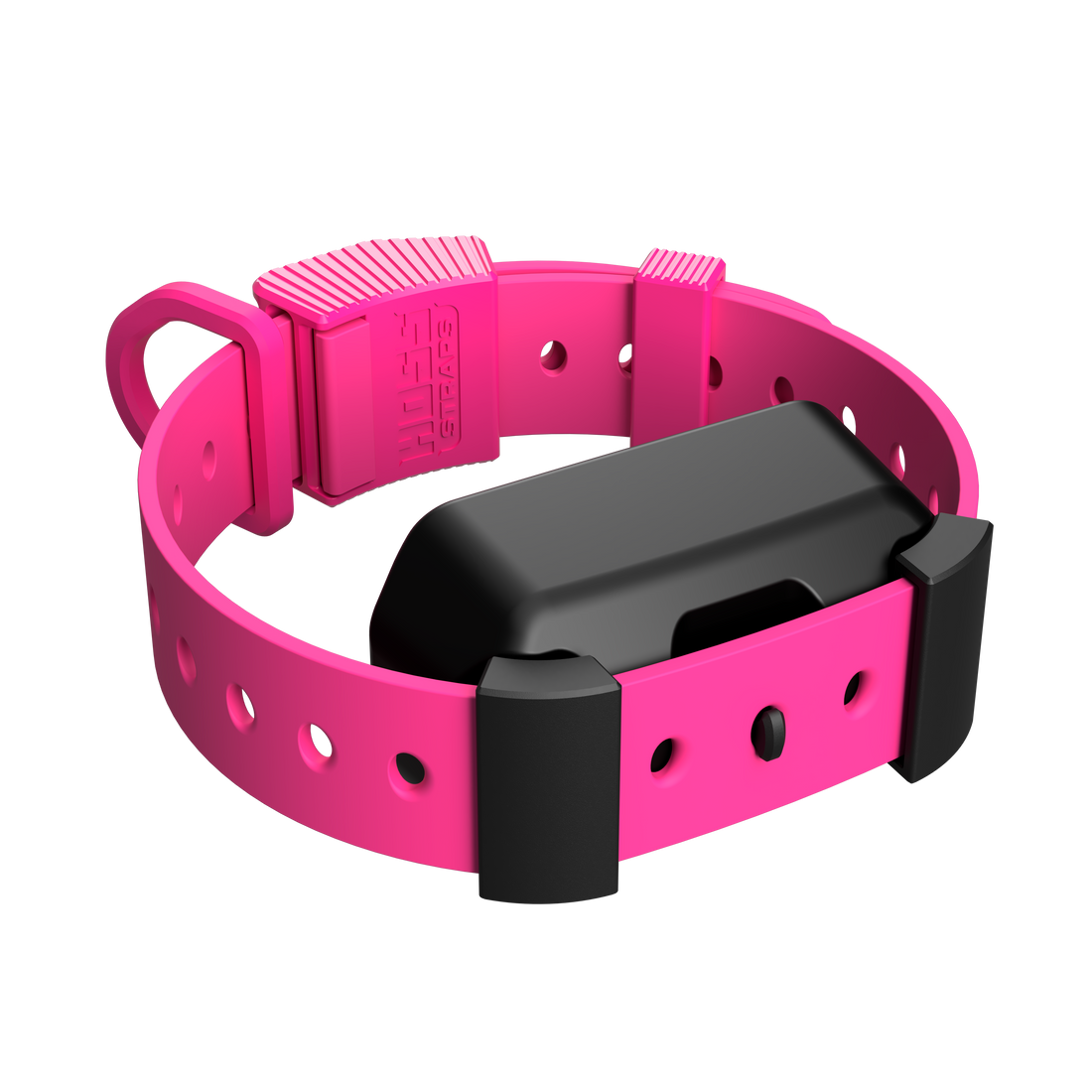 Training Collar Setup