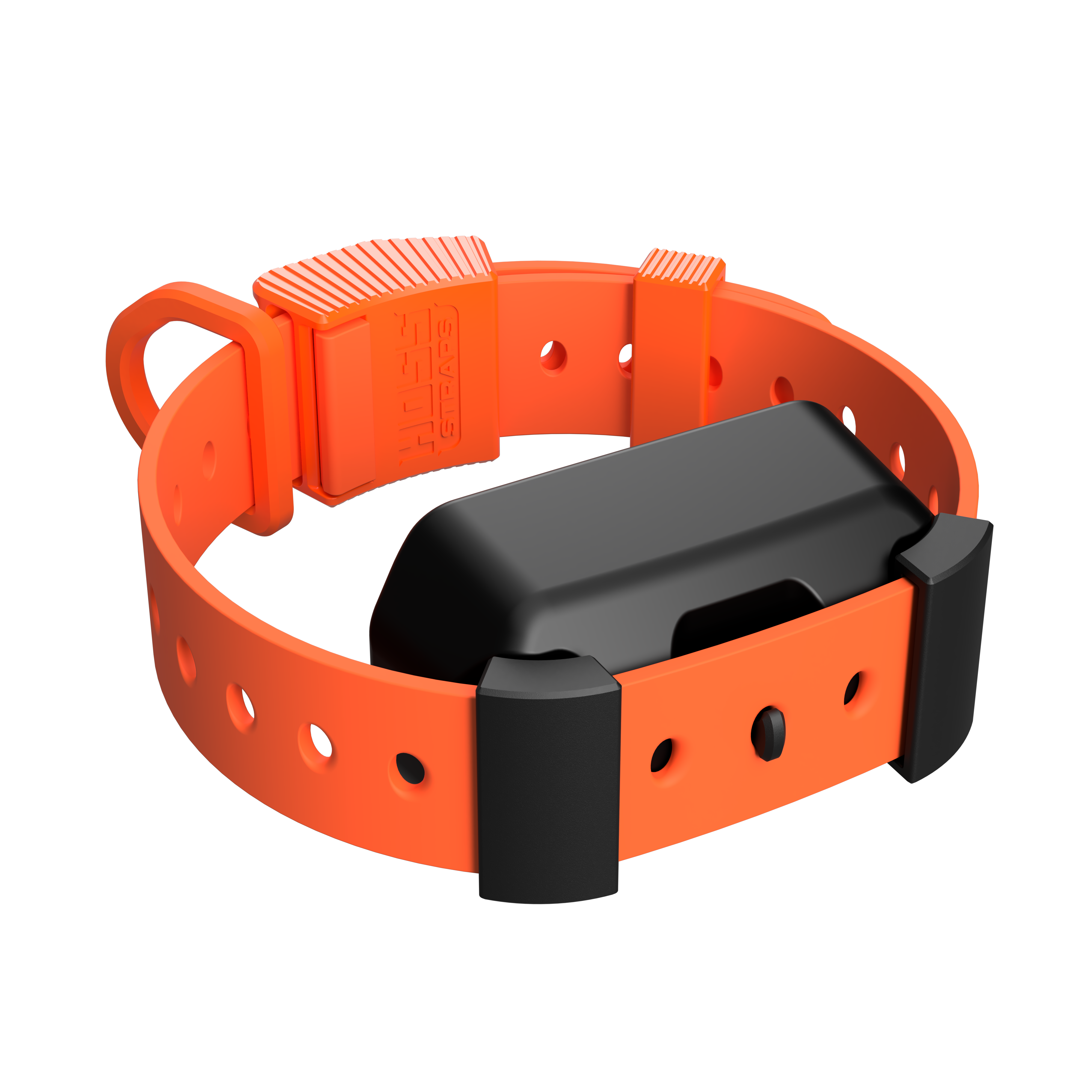 Training Collar Setup