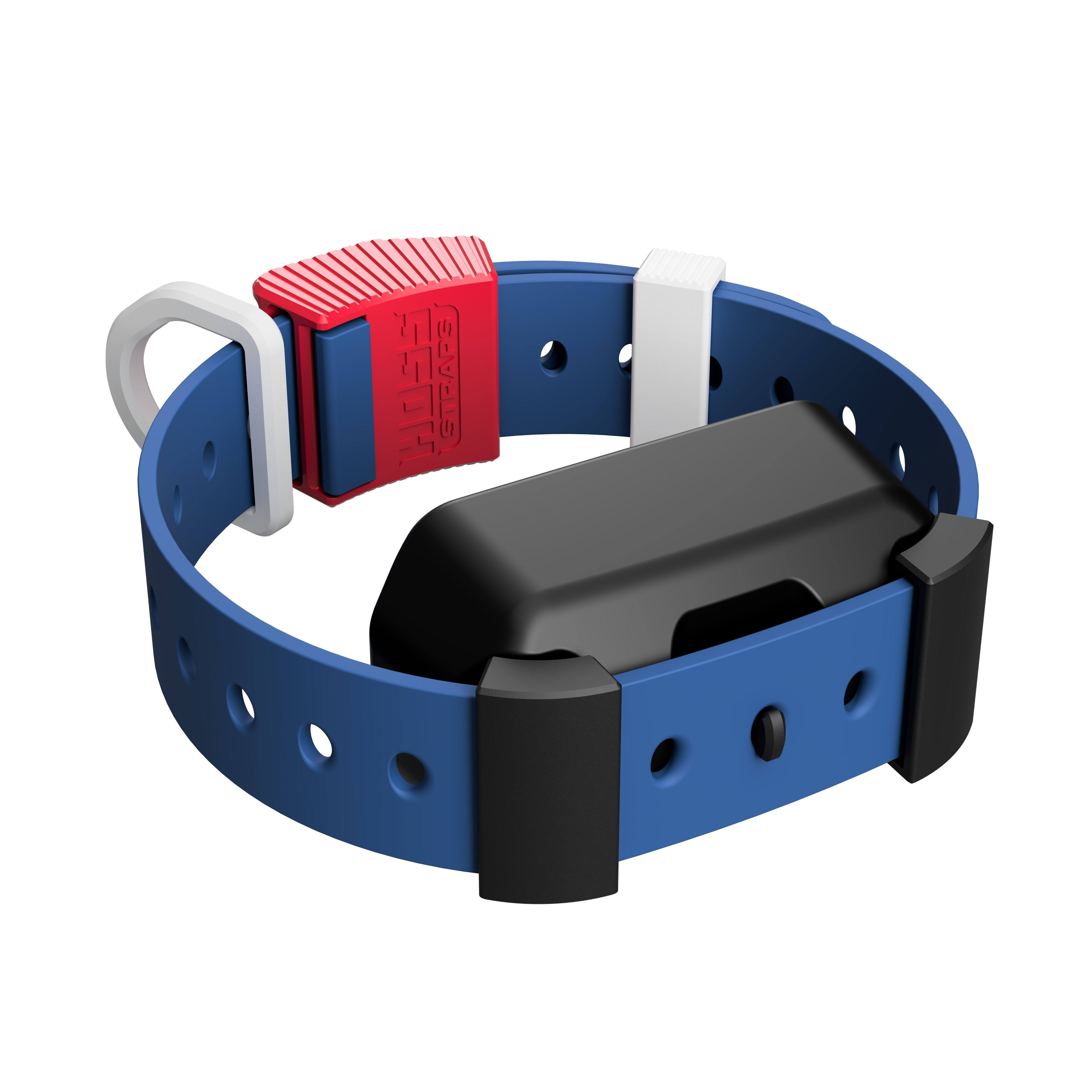 Training Collar Setup