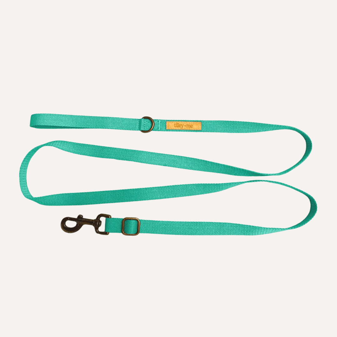 Tilley + Me Hemp Cotton Dog Leash - Durable, Sustainable, Adjustable, Lightweight & Soft-Malibu