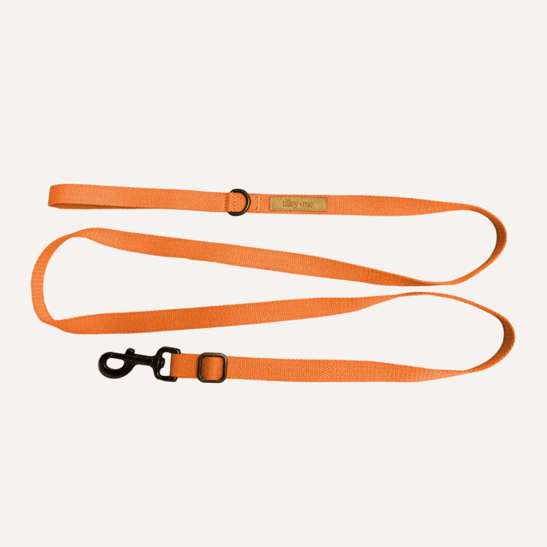 Tilley + Me Hemp Cotton Dog Leash - Durable, Sustainable, Adjustable, Lightweight & Soft-Malibu