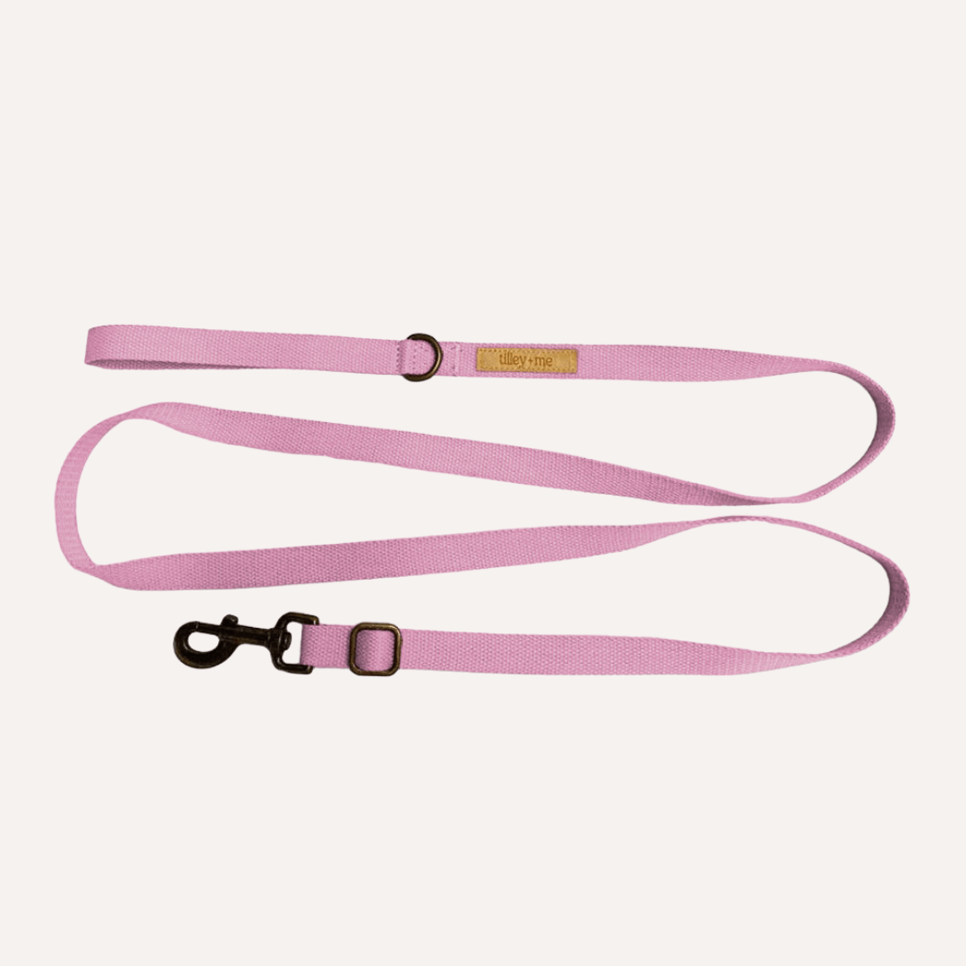 Tilley + Me Hemp Cotton Dog Leash - Durable, Sustainable, Adjustable, Lightweight & Soft-Malibu