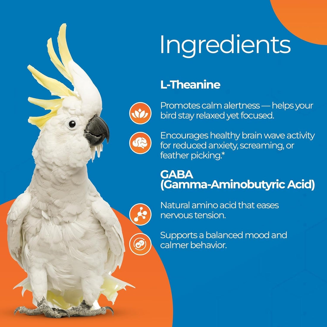 Parrot Calming Supplement Unruffledrx Bird Stress Relief Non Sedating 150 Servings