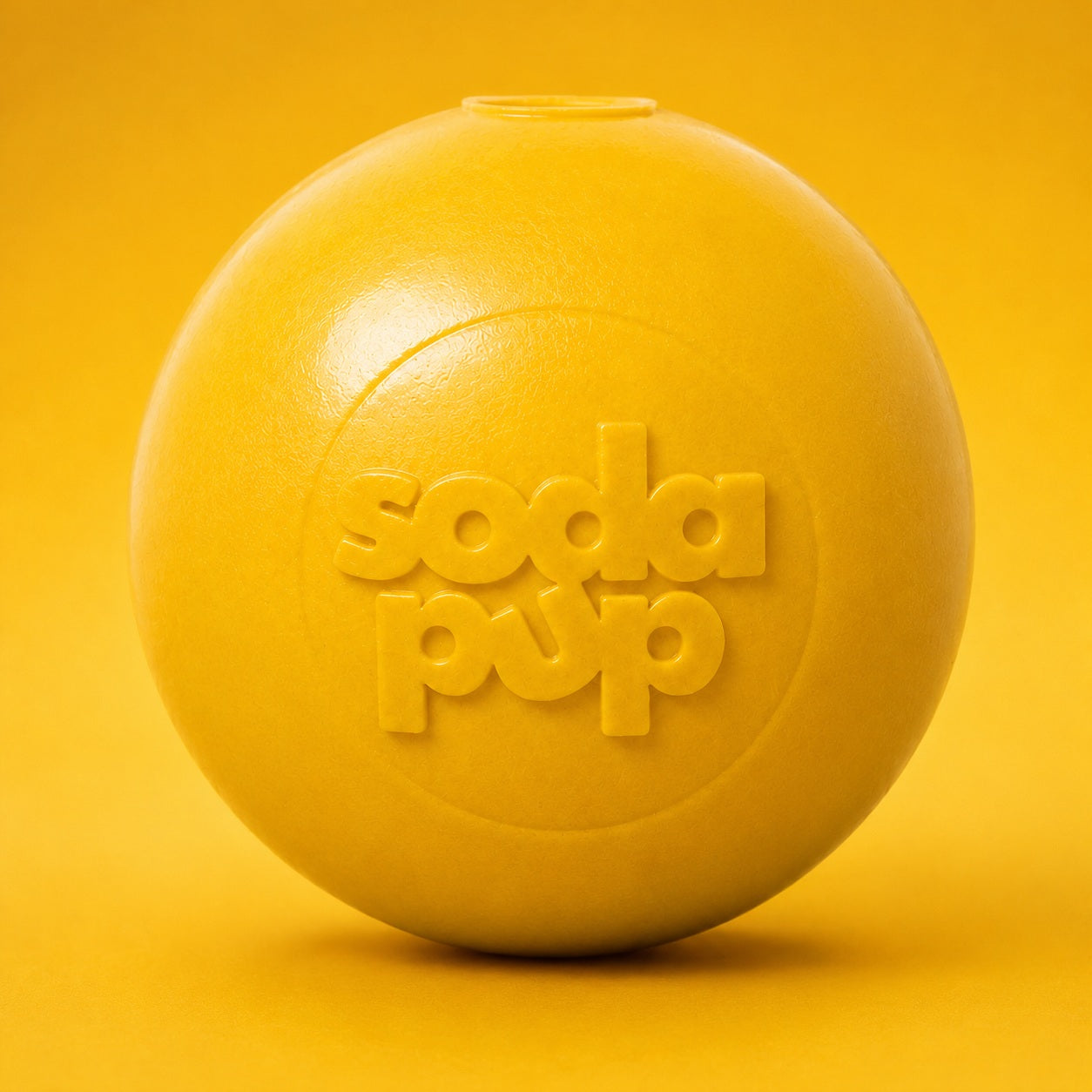 Squeak Ball - Durable Squeaky Dog Toy, Floats, Chew Toy | USA Made