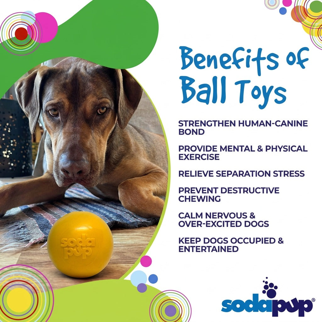 Squeak Ball - Durable Squeaky Dog Toy, Floats, Chew Toy | USA Made