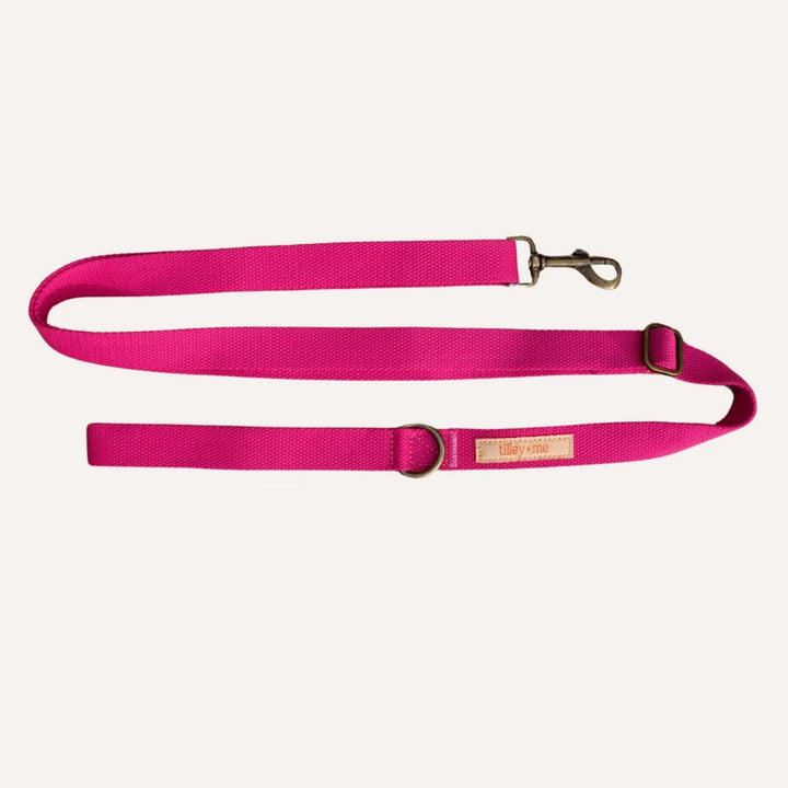 Tilley + Me Hemp Cotton Dog Leash - Durable, Sustainable, Adjustable, Lightweight & Soft-Malibu