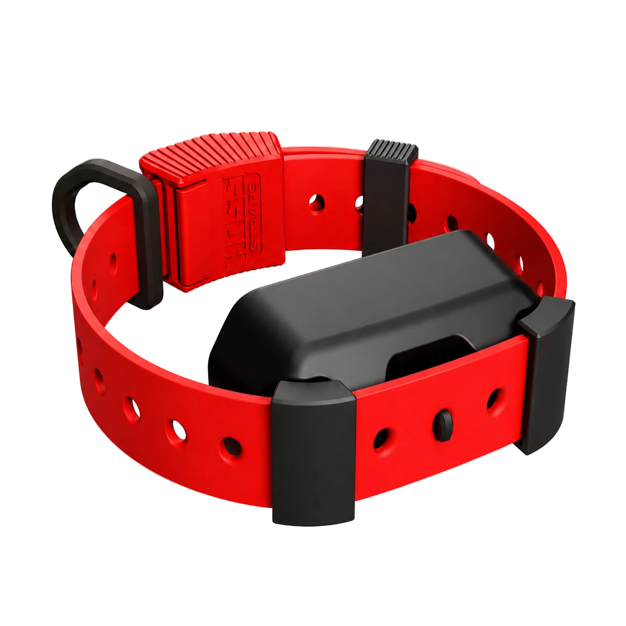 Training Collar Setup