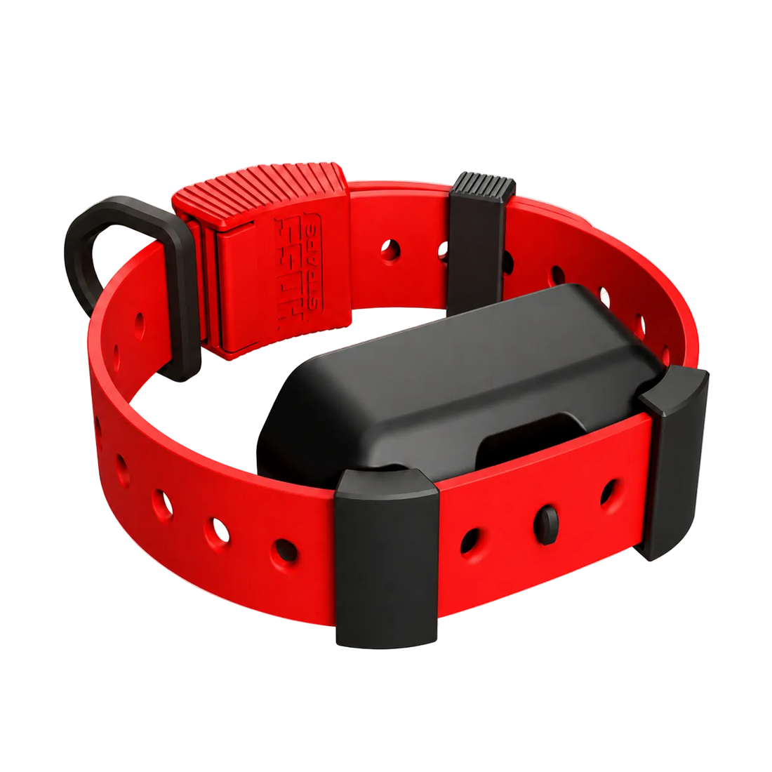Training Collar Setup