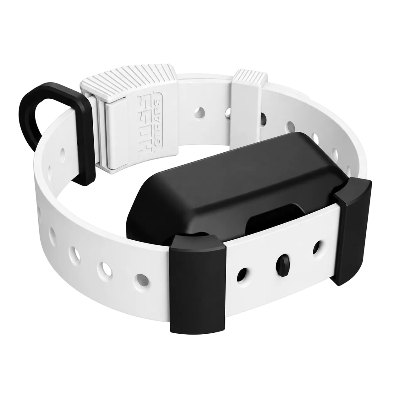 Training Collar Setup