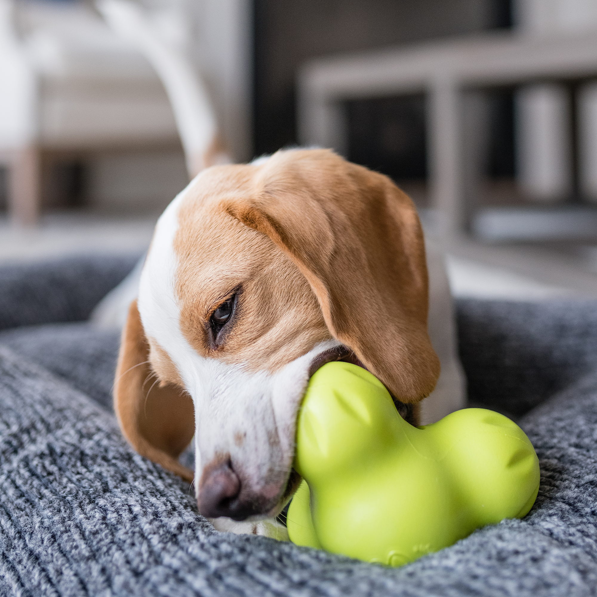 Tux Durable Treat Dispensing Dog Toy