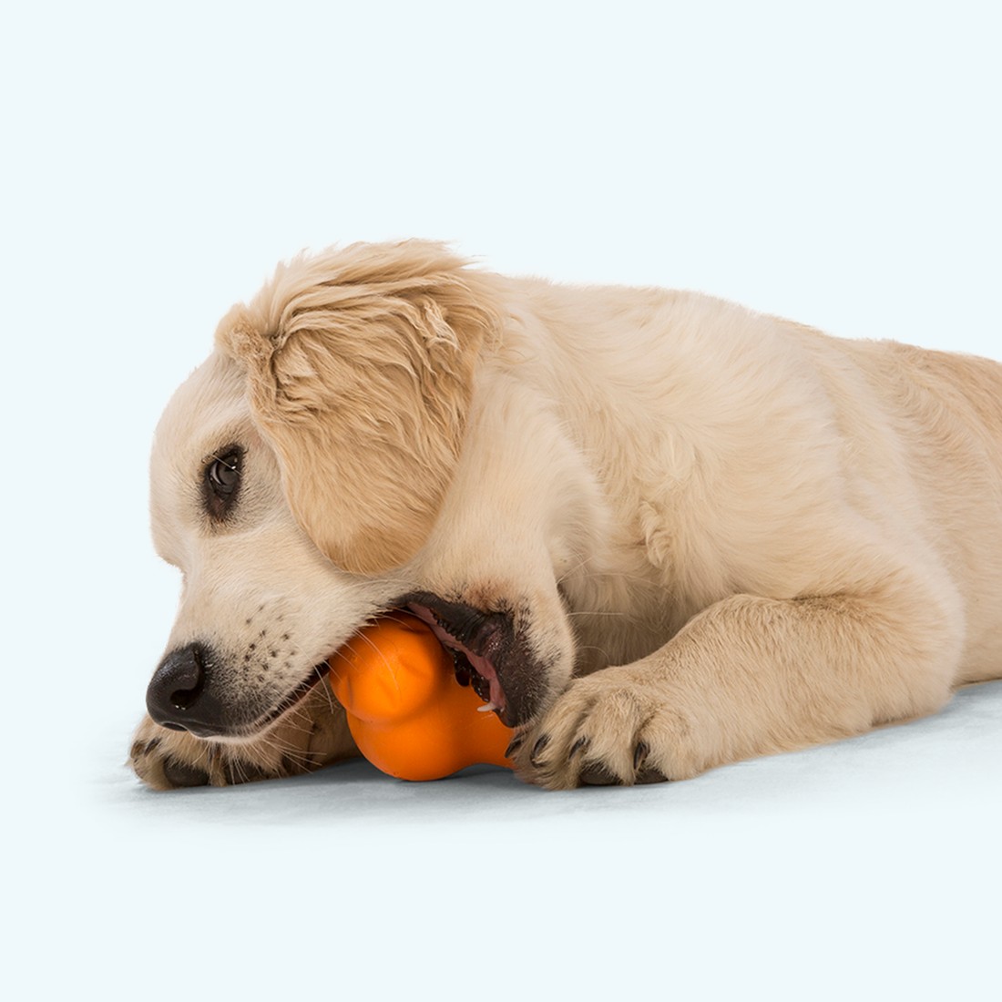 Tux Durable Treat Dispensing Dog Toy
