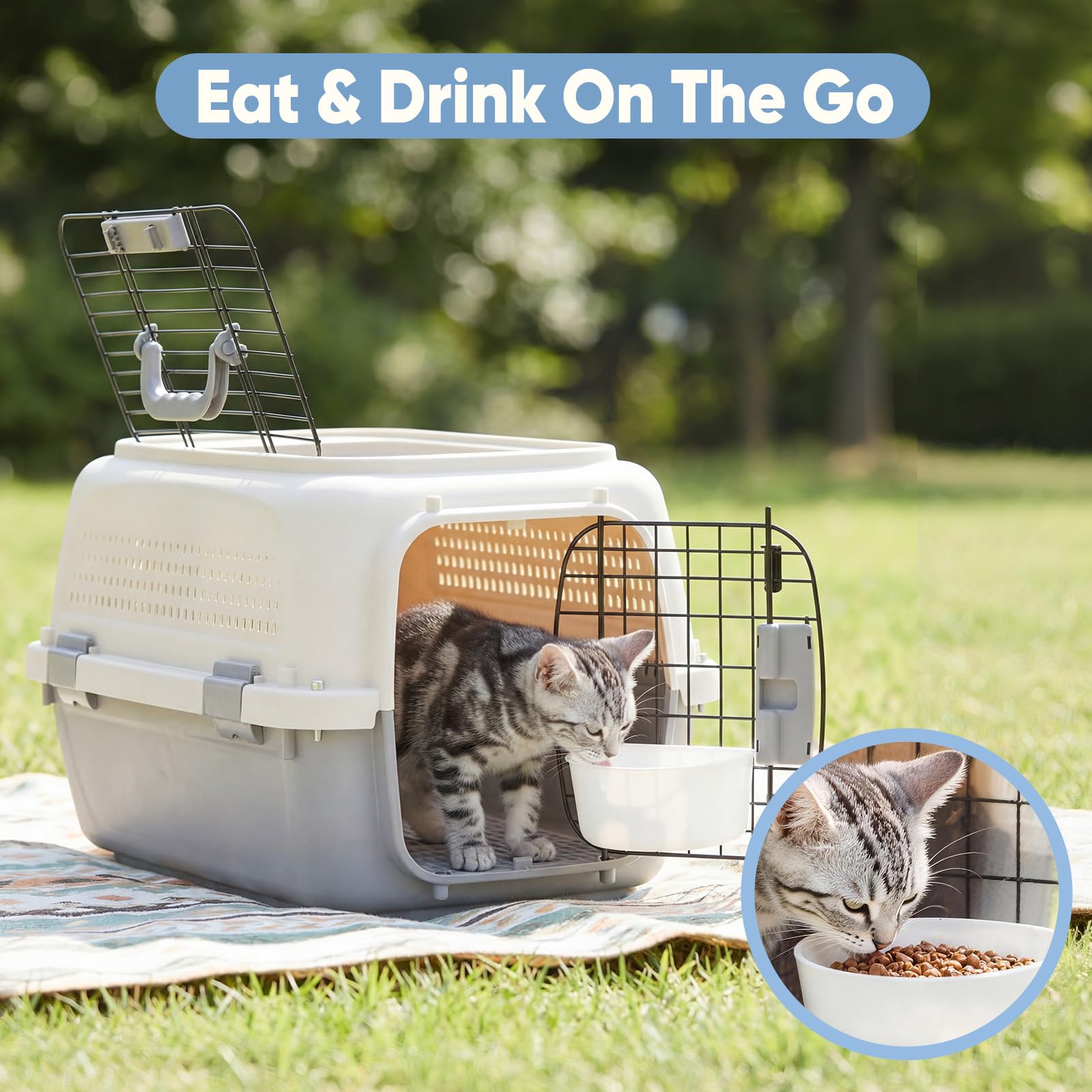 Airline-Approved Pet Carrier | Front & Top Load Travel Crate